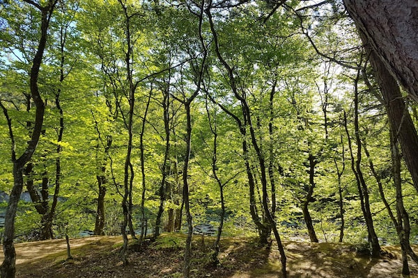 Foto van 6 persoons vakantie huis in Bindslev-By Traum - Vakantiehuis in Bindslev - Untagged