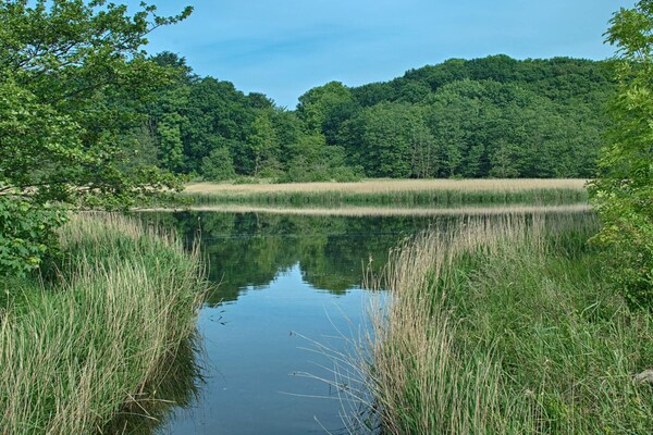 Foto van 4 persoons vakantie huis in Gråsten-By Traum - Vakantiehuis in Gråsten - WaterView