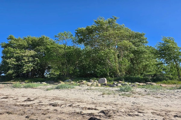 Foto van 30 persoons vakantie huis in Nordborg-By Traum - Vakantiehuis in Nordborg - Untagged