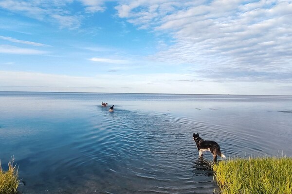 Foto van 8 persoons vakantie huis in Ørsted-By Traum - Vakantiehuis in Ørsted - WaterView