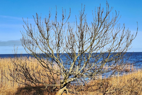 Foto van Rustige oase bij fjord -- By Traum Ferienwohnungen - Untagged
