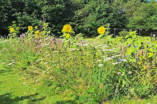 Foto van Rustige oase bij fjord -- By Traum Ferienwohnungen - Untagged