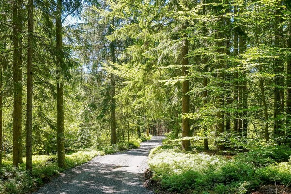 Foto van Huis aan het meer met terras - Vakantiehuis in HYLTEBRUK - Outdoor