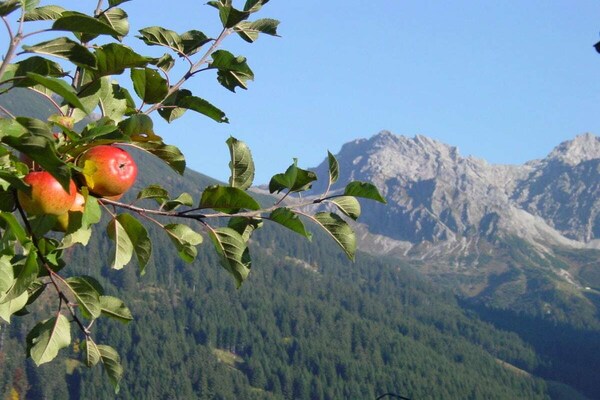 Foto van Alpencomfort - Fontain's Hus - Vakantiehuis in Riezlern - Untagged