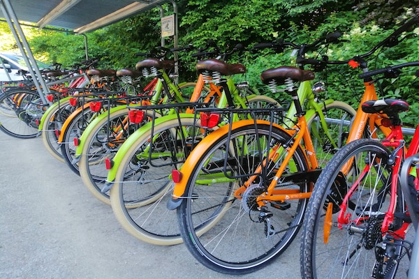 Foto van Appartement in Obertraun bij Krippenstein - Vakantiehuis in Obertraun - ParkFacilities