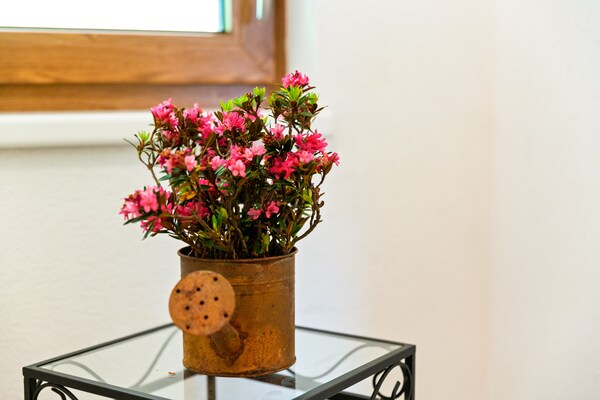 Foto van Appartement in Hollerbach bij Kitzbühel Lift - Vakantiehuis in Hollersbach im Pinzgau - Ambiance