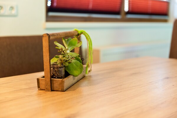 Foto van Appartement in Hollerbach bij Kitzbühel Lift - Vakantiehuis in Hollersbach im Pinzgau - Ambiance