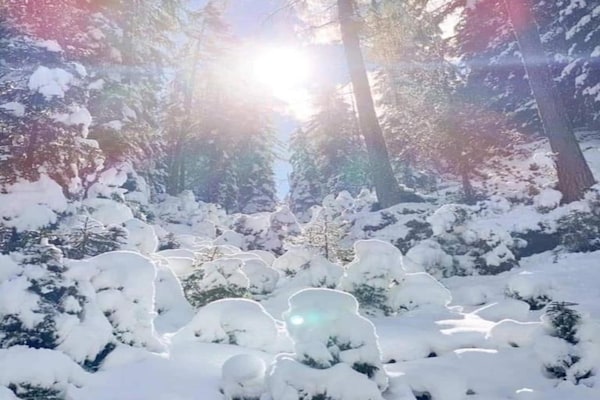 Foto van Appartement in Neustift bij Stubai Gletsjer - Vakantiehuis in Neustift im Stubaital - AreaWinter20KM