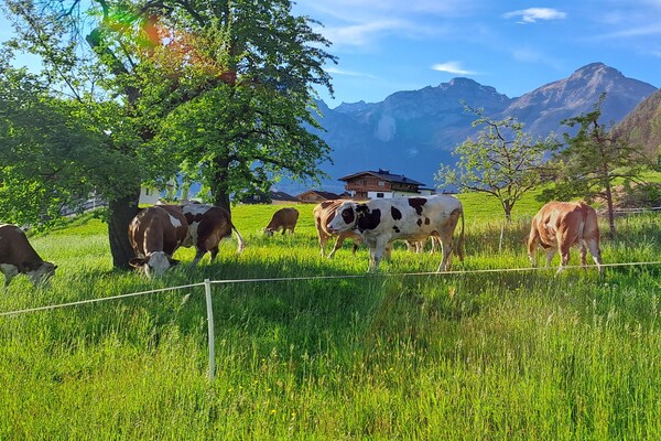 Foto van Chalet Anna met uitzicht op de bergen - Vakantiehuis in Bruck am Ziller - GardenSummer