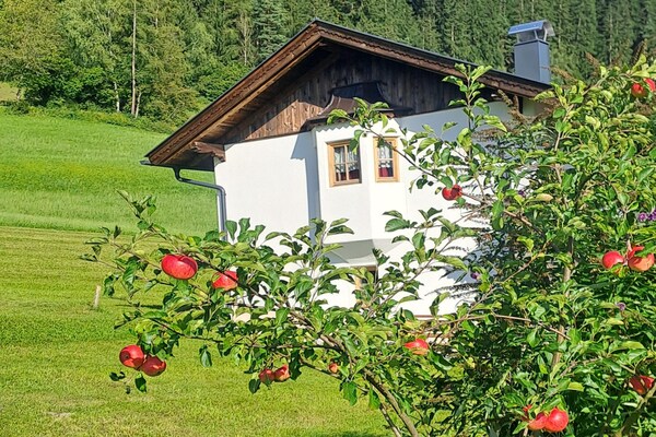Foto van Chalet Anna met uitzicht op de bergen - Vakantiehuis in Bruck am Ziller - GardenSummer