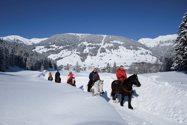 Foto van Chalet Anna met uitzicht op de bergen - Vakantiehuis in Bruck am Ziller - AreaWinter5KM