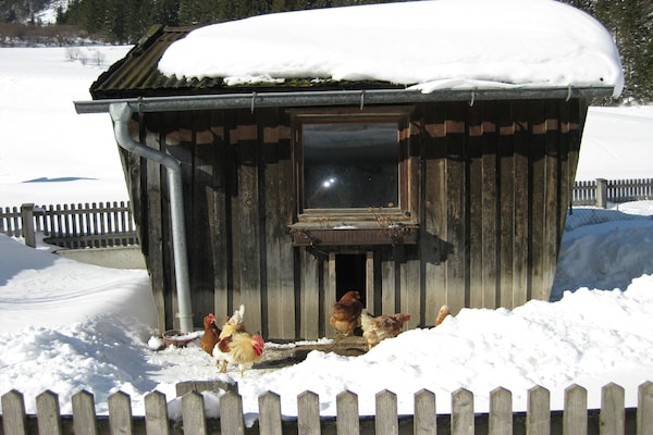 Foto van Appartement in Pettneu bij St. Anton Skihelling - Vakantiehuis in Pettneu am Arlberg - GardenWinter