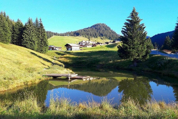 Foto van Appartement in St. Gallenkirch bij Skiliften - Vakantiehuis in St. Gallenkirch - AreaSummer20KM