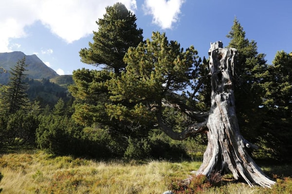 Foto van Appartement in Hohentauern bij Skilift - Vakantiehuis in Hohentauern - AreaSummer20KM