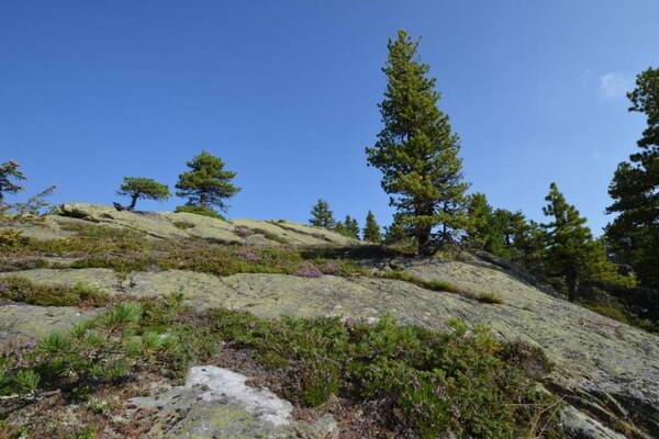 Foto van Alpenhut in Murau bij Skipiste - Vakantiehuis in St. Lorenzen ob Murau - AreaSummer20KM