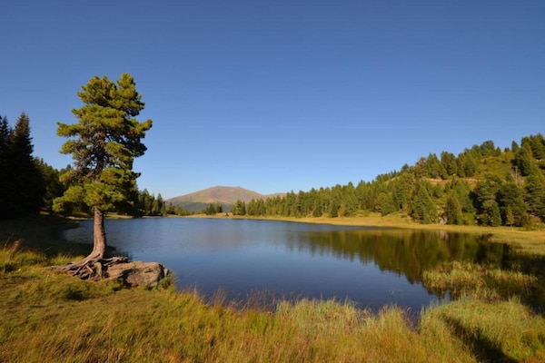 Foto van Alpenhut in Murau bij Skipiste - Vakantiehuis in St. Lorenzen ob Murau - AreaSummer20KM