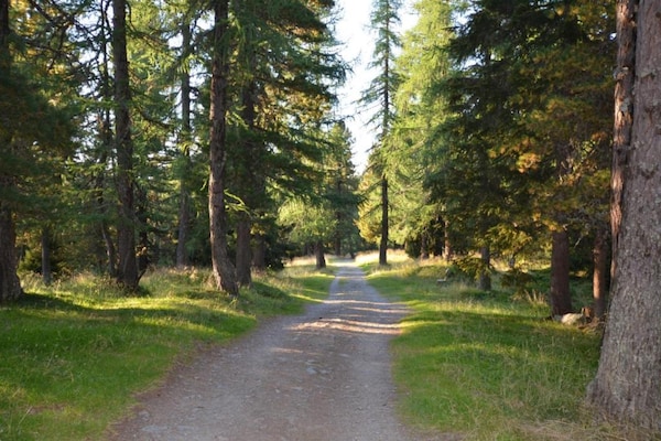 Foto van Alpenhut in Murau bij Skipiste - Vakantiehuis in St. Lorenzen ob Murau - AreaSummer20KM