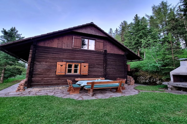 Foto van Alpenhut in Murau bij Skipiste - Vakantiehuis in St. Lorenzen ob Murau - AreaWinter20KM