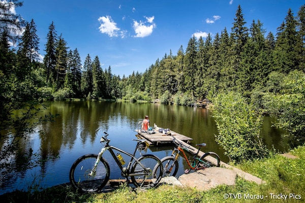 Foto van Aantrekkelijke studio met balkon - Vakantiehuis in Kreischberg Murau - TerraceBalcony
