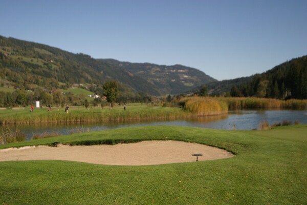 Foto van Chalet in Stadl an der Mur bij Skigebied - Vakantiehuis in Stadl an der mur - ExteriorSummer