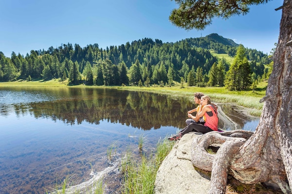 Foto van Appartement op slechts 200 m van het skistation - Vakantiehuis in Turracherhöhe - AreaSummer20KM