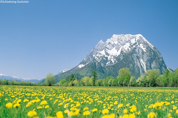 Foto van Appartement met balkon of terras - Vakantiehuis in Schladming - Rohrmoos - AreaSummer1KM