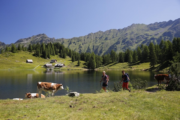 Foto van Appartement met balkon of terras - Vakantiehuis in Schladming - Rohrmoos - AreaSummer20KM