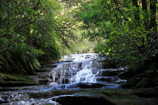 Foto van Ontdek de Blue Mountains te voet - Vakantiehuis in Katoomba - AreaWinter1KM