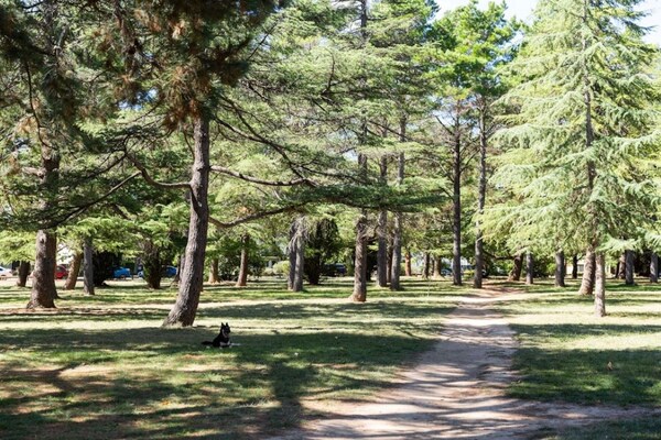 Foto van Handige Braddon Studio met parkeergelegenheid - Vakantiehuis in Braddon - AreaSummer1KM