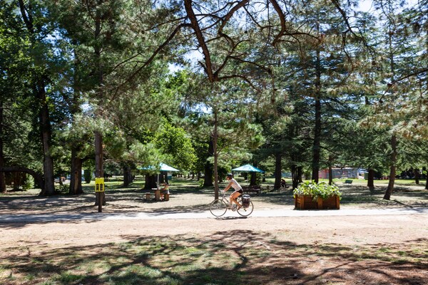 Foto van Handige Braddon Studio met parkeergelegenheid - Vakantiehuis in Braddon - AreaSummer1KM