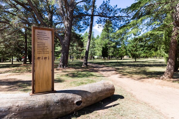 Foto van Handige Braddon Studio met parkeergelegenheid - Vakantiehuis in Braddon - AreaSummer1KM