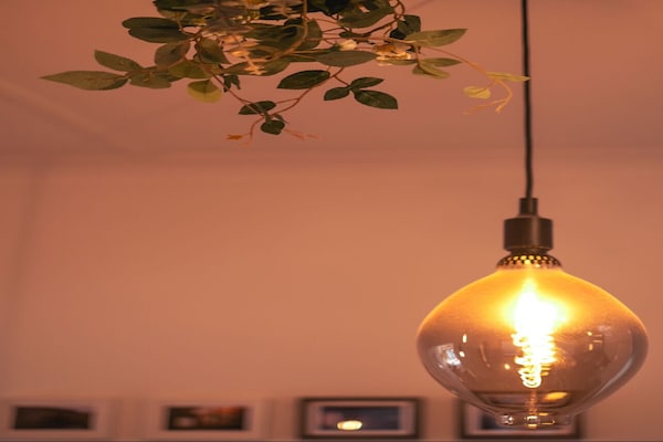 Foto van Stijlvol huisje met 2 slaapkamers in het trendy Erskineville - RecreationRoom