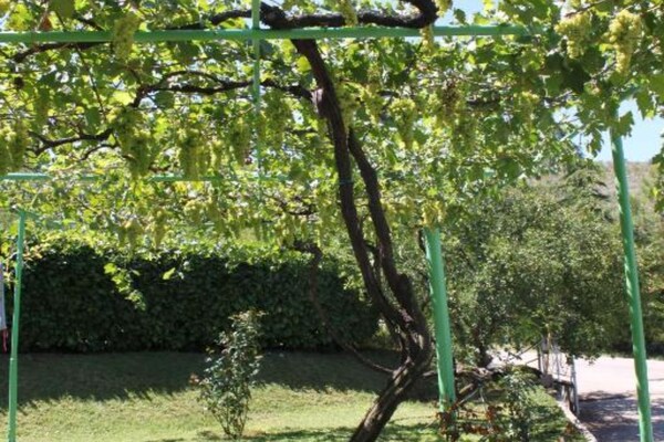 Foto van Elez Serenity Guesthouse - Double bed 2 - Vakantiehuis in Medugorje - Outdoor