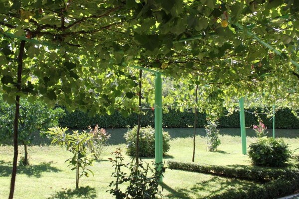 Foto van Elez Serenity Guesthouse - Twin room 1 - Vakantiehuis in Medugorje - Outdoor