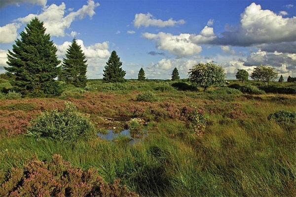 Foto van Vakantiehuis in Nadrin met privéterras - Vakantiehuis in Houffalize - AreaSummer20KM