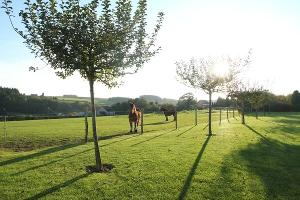 Foto van Elegant verblijf op een landgoed in Maredsous - Vakantiehuis in Maredsous - ViewSummer