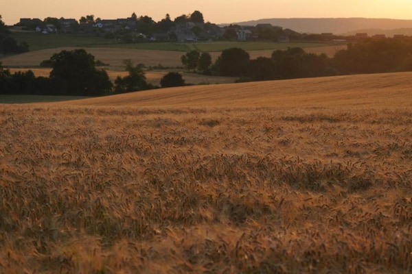 Foto van Elegant verblijf op een landgoed in Maredsous - Vakantiehuis in Maredsous - AreaSummer5KM