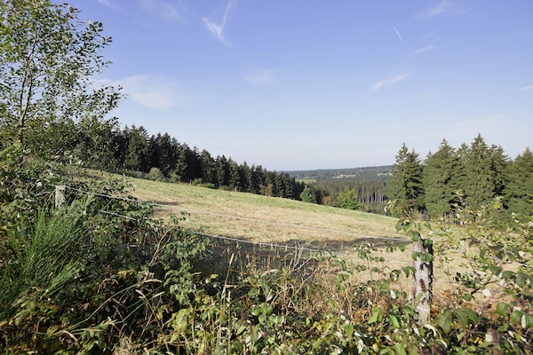 Foto van Ovifat Sauna Escape, Waimes - Vakantiehuis in Waimes - AreaSummer1KM