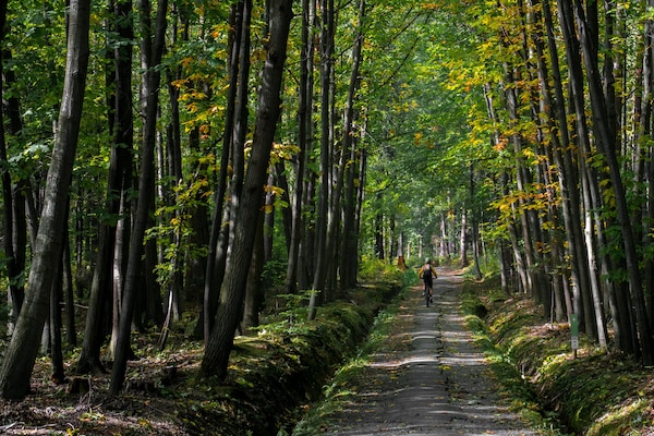 Foto van Ovifat Sauna Escape, Waimes - Vakantiehuis in Waimes - AreaSummer1KM