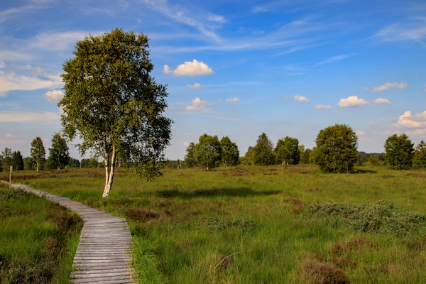 Foto van Ovifat Sauna Escape, Waimes - Vakantiehuis in Waimes - AreaSummer20KM