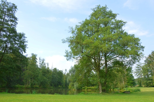 Foto van Kasteel Marchin met sauna - Vakantiehuis in Vyle-Et-Tharoul - GardenSummer