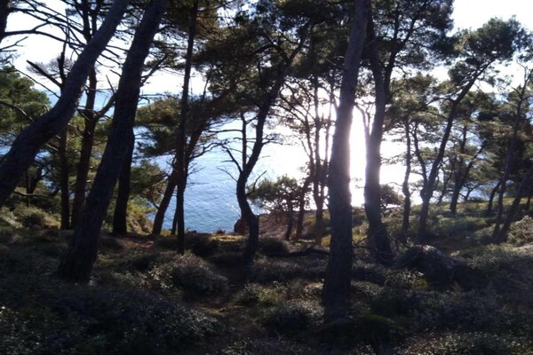 Foto van Verblijf in de natuur, Turnhout - Vakantiehuis in Turnhout - AreaSummer20KM
