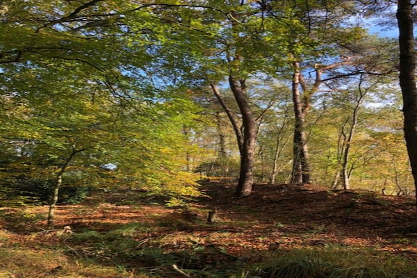Foto van Verblijf in de natuur, Turnhout - Vakantiehuis in Turnhout - AreaSummer20KM