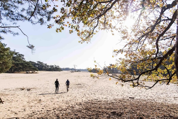 Foto van Antwerp Natuurretraite voor 4 personen - Vakantiehuis in Mol - AreaSummer5KM