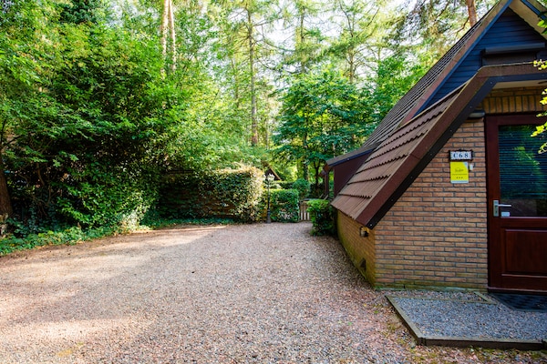 Foto van Gezellige tuinretraite in Lanaken - Vakantiehuis in Lanaken - ExteriorSummer