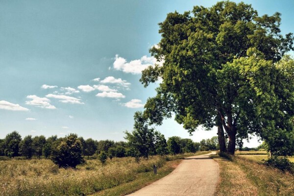 Foto van Moderne duplex in Maasmechelen - Vakantiehuis in Maasmechelen - AreaSummer20KM