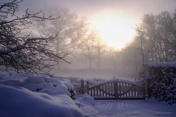 Foto van Vakantiehuis in Bullange met sauna - Vakantiehuis in Bullingen - ViewWinter