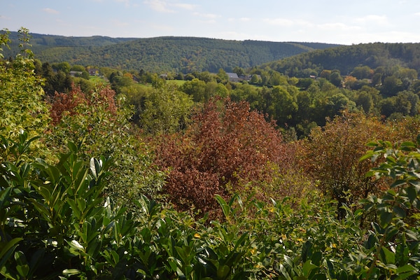 Foto van Trooz Villa met zwembad en sauna - Vakantiehuis in Trooz - AreaSummer1KM