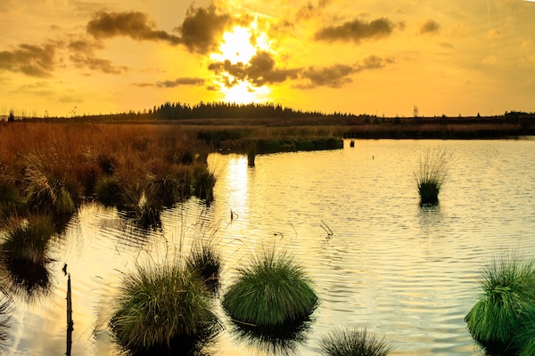 Foto van Boerderijverblijf in Ondenval - Vakantiehuis in Ondenval/Waimes - AreaSummer5KM