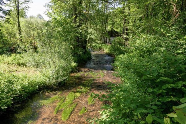 Foto van Chalet in Ardennen bij bosroutes - Vakantiehuis in Xhoffraix - AreaSummer20KM